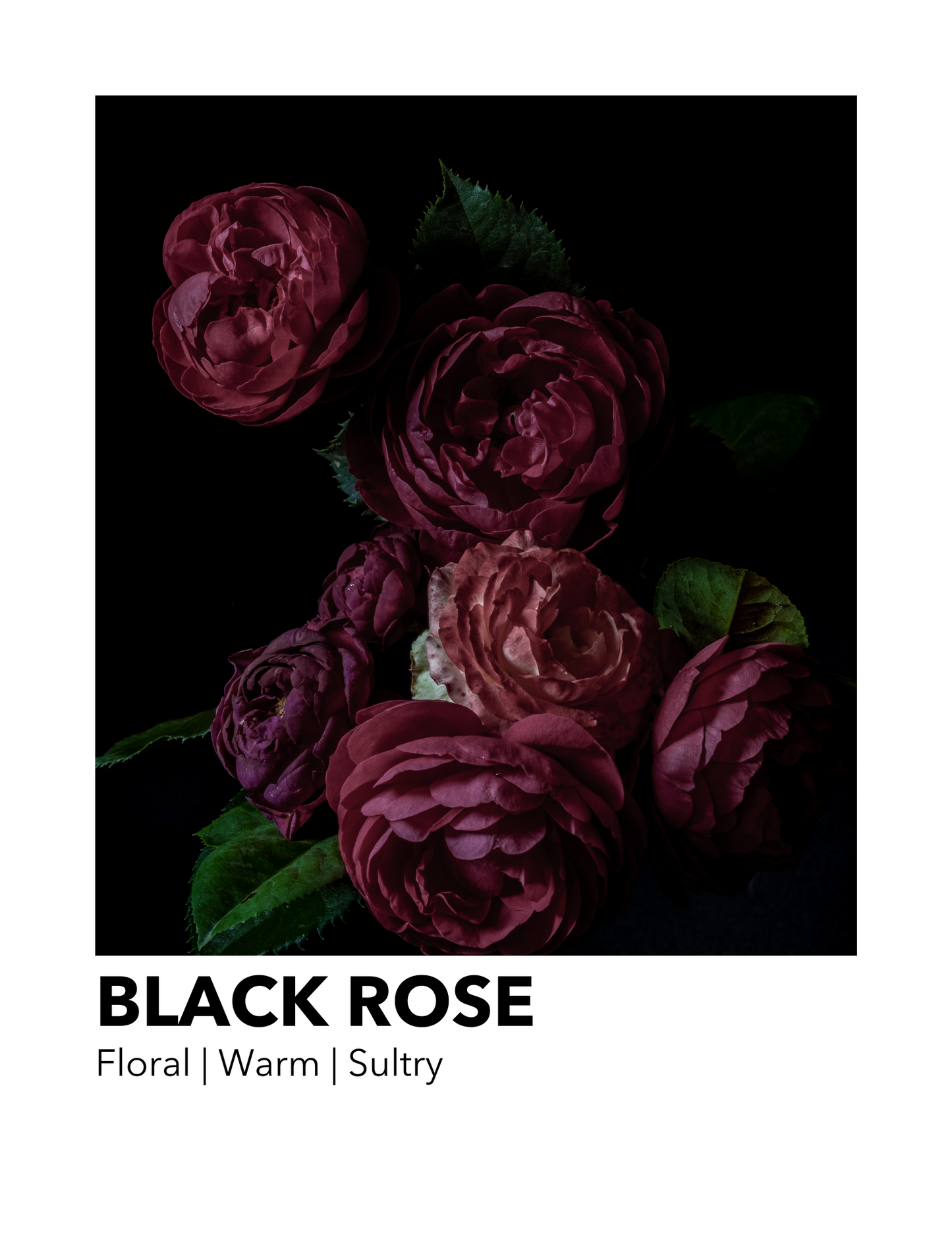 Black Rose - Everyday Candle