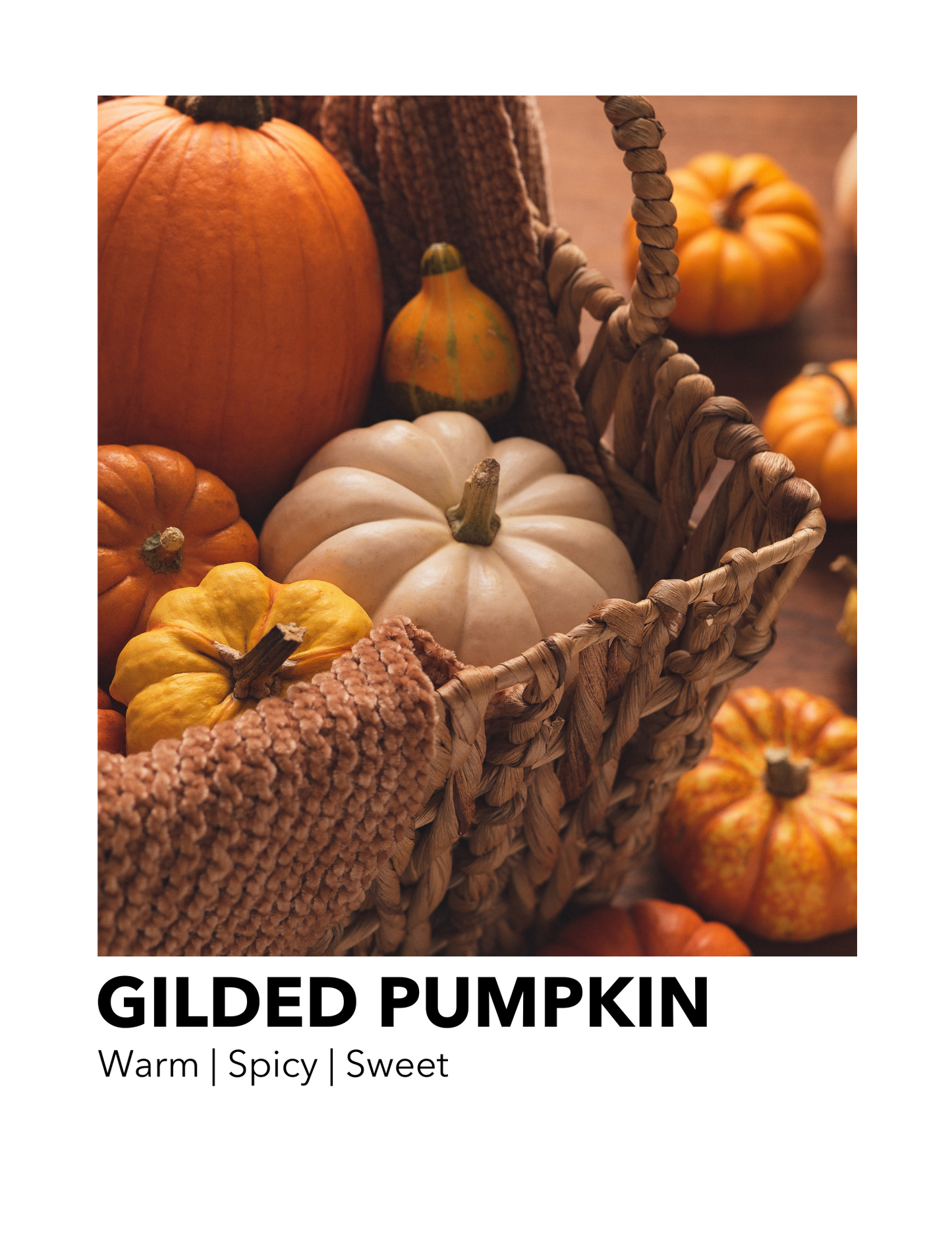 Gilded Pumpkin - Seasonal Candle