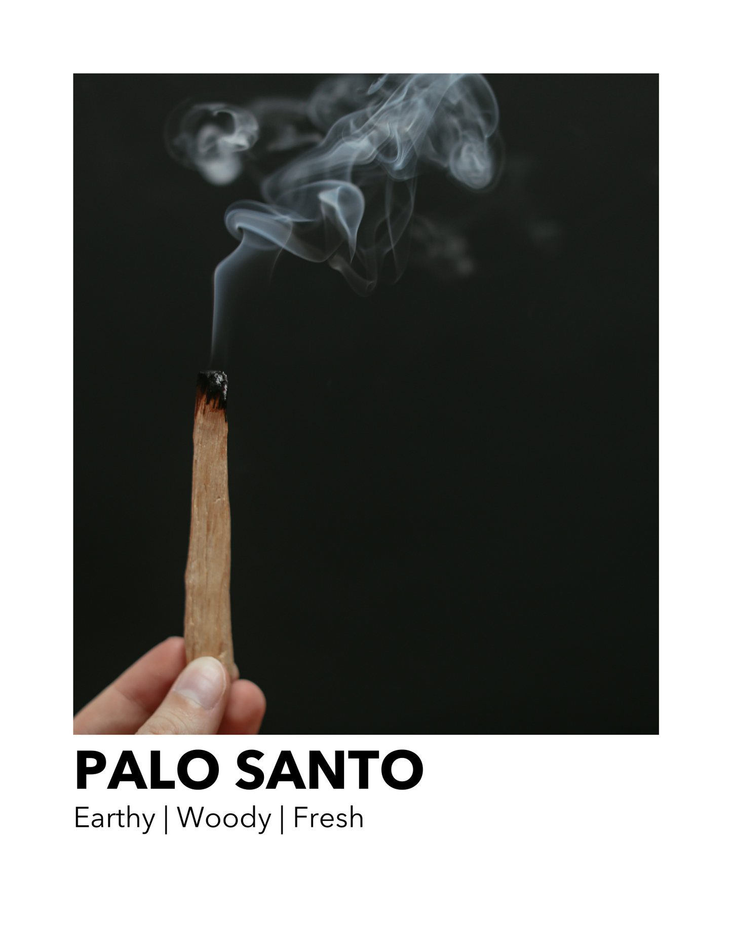 Palo Santo - Everyday Candle