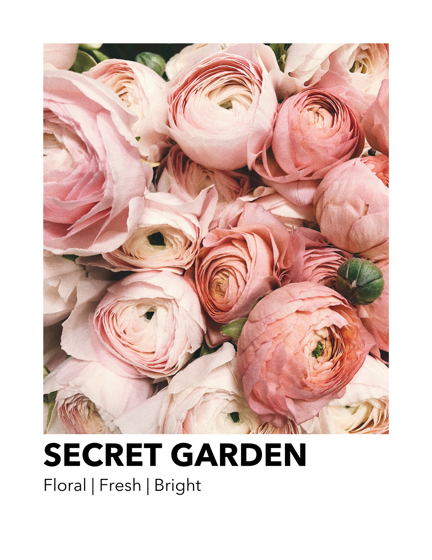 Secret Garden - Everyday Candle